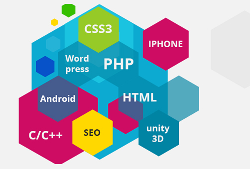 web development training chennai